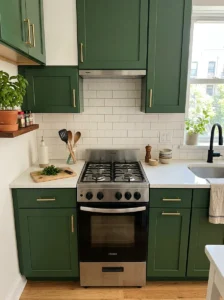 Mini kitchen with a slim apartment-sized range and extra counter space.