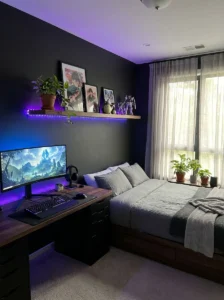 Small green plant adding natural balance to an anime-inspired bedroom.